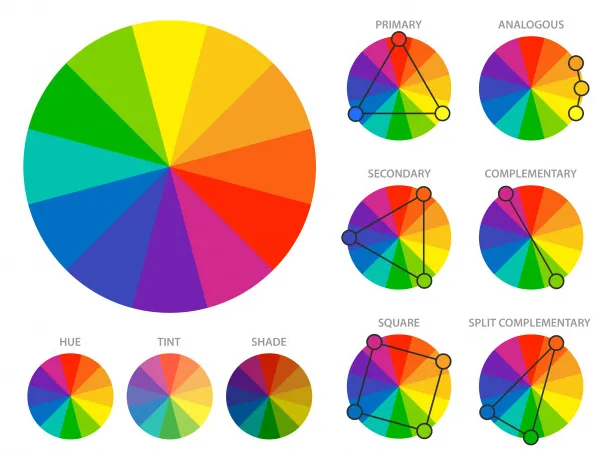 Come scegliere i colori del tuo marchio: guida completa per il branding